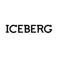 Iceberg internetu