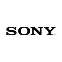 Sony по интернету