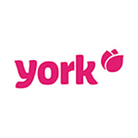 York internetu