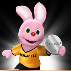 Elementas Duracell DL2450 1vnt. kaina ir informacija | Duracell Santechnika, remontas, šildymas | pigu.lt