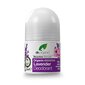 Rutulinis dezodorantas Dr.Organic Lavender Deodorant, 50 ml цена и информация | Dezodorantai | pigu.lt