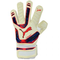 Puma Evo Power Grip 2 RC 040998 15 vartininko pištinės kaina ir informacija | Vartininko pirštinės | pigu.lt