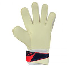 Puma Evo Power Grip 2 RC 040998 15 vartininko pištinės kaina ir informacija | Vartininko pirštinės | pigu.lt