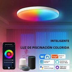 WIFI apvali lubų šviesa, 5 krypčių dvigubo režimo RGB+WW+CW AC220V 24W „Smart Life“, skirta „Alexa Google Assistant“ pritemdomoms iliuzinėms lempoms juodo apvalkalo kaina ir informacija | Šviestuvai - ventiliatoriai | pigu.lt