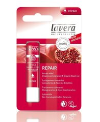 Бальзам для губ Lavera Lips Repair, 4.5 мл цена и информация | Помады, бальзамы, блеск для губ | pigu.lt