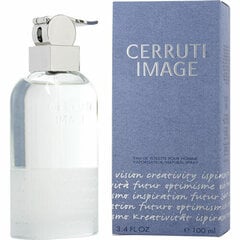Nino Cerruti Image EDT для мужчин, 100 мл цена и информация | Мужские духи | pigu.lt