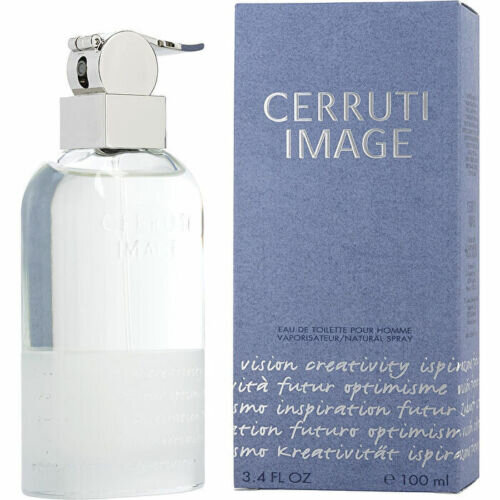 Tualetinis vanduo Cerruti Image EDT vyrams 100 ml цена и информация | Kvepalai vyrams | pigu.lt