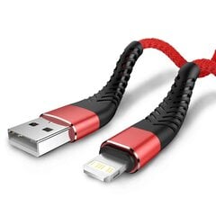 AU kištukas USB įkrovimo adapteris цена и информация | Зарядные устройства для элементов питания | pigu.lt