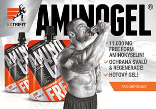 Aminorūgštys Extrifit Amino Gel, 80g kaina ir informacija | Aminorūgštys | pigu.lt