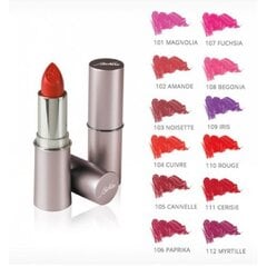 Matiniai lūpų dažai BioNike Defence Color Lipvelvet Nr. 103, 3.5 ml цена и информация | Помады, бальзамы, блеск для губ | pigu.lt