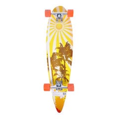 Скейтборд Longboard WORKER SurfBay цена и информация | Скейтборды | pigu.lt