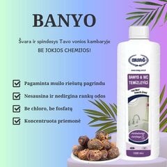 Ersag vonios ir WC valiklis Banyo, 1000 ml kaina ir informacija | Valikliai | pigu.lt