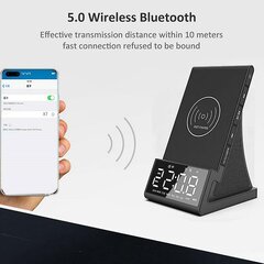 Проводная Зарядка Bluetooth-Динамика, Спецификация: Вилка Европейского Стандарта цена и информация | Аудиоколонки | pigu.lt