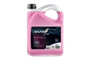 Антифриз WOLF ANTI-FREEZE EVO LL G13 5L -72o цена и информация | Очищающие и охлаждающие жидкости | pigu.lt