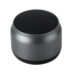 Wireless Speaker Bluetooth Portable Outdoor Sports Audio Stereo Support Mobile Phone Subwoofer MINI Portable Speaker цена и информация | Аудиоколонки | pigu.lt