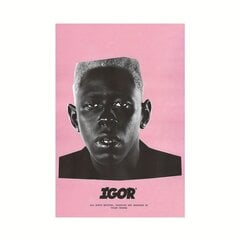 Tyler The Creator Igor Drobės Plakatas, Puiki Dovana kaina ir informacija | Reprodukcijos, paveikslai | pigu.lt