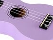 Winzz soprano ukulelės rinkinys, violetinė kaina ir informacija | Gitaros | pigu.lt