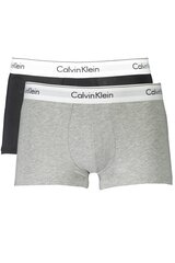 Trumpikės vyrams Calvin Klein Underwear, 2 vnt. kaina ir informacija | Trumpikės | pigu.lt