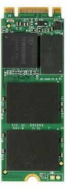Transcend TS256GMTS600 цена и информация | Vidiniai kietieji diskai (HDD, SSD, Hybrid) | pigu.lt