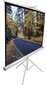 Elite Screens T99NWS1 ( 178 x 178 cm ) цена и информация | Projektorių ekranai | pigu.lt