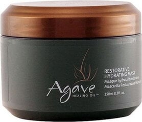 Plaukų kaukė Agave Healing Oil, 250 ml kaina ir informacija | Priemonės plaukų stiprinimui | pigu.lt
