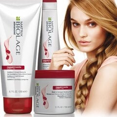 Šampūnas pažeistiems plaukams Matrix Biolage Repairinside, 250 ml kaina ir informacija | Šampūnai | pigu.lt