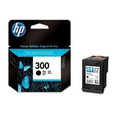 Картридж для струйного принтера HP 300 (CC640EE), черный цена и информация | Картриджи для струйных принтеров | pigu.lt