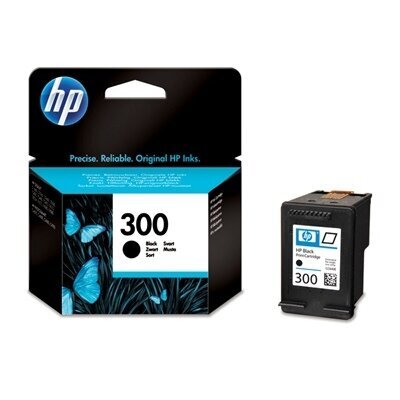 Rašalinė spausdintuvo kasetė HP 300 (CC640EE), juoda kaina ir informacija | Kasetės rašaliniams spausdintuvams | pigu.lt