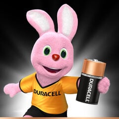 Батарейки Duracell C LR14, 2 шт. цена и информация | Батарейки | pigu.lt