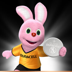 Батареи Duracell 2016, 1 шт. цена и информация | Батарейки | pigu.lt