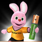 Įkraunami elementai Duracell aaa 850 mAh lr03 2vnt. kaina ir informacija | Elementai | pigu.lt