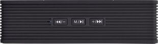 Tracer Powerbox BT 45454, черный цена и информация | Аудиоколонки | pigu.lt
