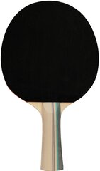 Настольный теннис ракетка Get & Go 61UJ цена и информация | Ракетки для настольного тенниса, чехлы и наборы | pigu.lt