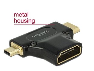 Delock 65666 kaina ir informacija | Adapteriai, USB šakotuvai | pigu.lt