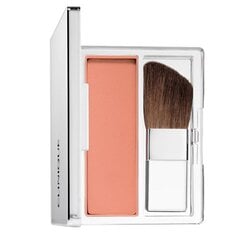 Skaistalai Clinique Blushing 6 g, 102 Innocent Peach kaina ir informacija | Clinique Dekoratyvinė kosmetika | pigu.lt