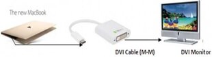 Techly, USB-C/DVI цена и информация | Адаптеры, USB-разветвители | pigu.lt