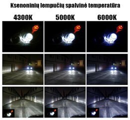 Automobilinė ksenon lemputė MaxGear Xenon D2R, 4300k kaina ir informacija | Automobilių lemputės | pigu.lt