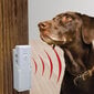 Ultragarsinis prietaisas šuns lojimo kontrolei kaina ir informacija | Dresūros priemonės šunims | pigu.lt