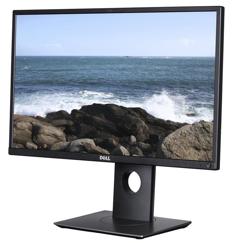 Dell P2417H 23.8" kaina ir informacija | Monitoriai | pigu.lt