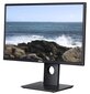 Dell P2417H 23.8" цена и информация | Monitoriai | pigu.lt