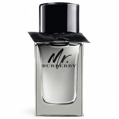 Туалетная вода Burberry Mr. Burberry EDT для мужчин, 100 мл цена и информация | Burberry Духи | pigu.lt