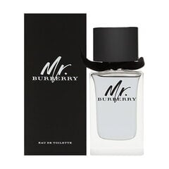 Tualetinis vanduo Burberry Mr. Burberry EDT vyrams, 100 ml kaina ir informacija | Burberry Kosmetika kūnui | pigu.lt