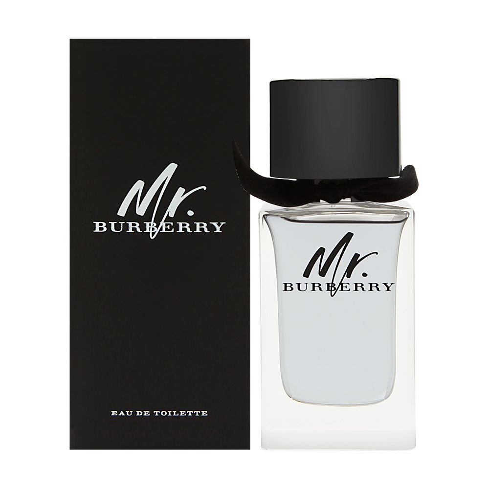 Tualetinis vanduo Burberry Mr. Burberry EDT vyrams, 100 ml kaina ir informacija | Kvepalai vyrams | pigu.lt