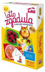 Stalo žaidimas Adamigo Lotto Guess 05086 kaina ir informacija | Stalo žaidimai, galvosūkiai | pigu.lt