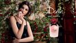 Kvapusis vanduo Dolce & Gabbana Dolce Rosa Excelsa EDP moterims 30 ml цена и информация | Kvepalai moterims | pigu.lt