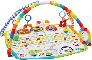 Развивающий музыкальный коврик Fisher Price, DFP69 цена и информация | Развивающие коврики | pigu.lt