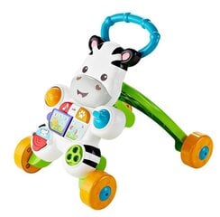 Muzikinė vaikštynė-stumdukas Fisher Price, DPL53 (Lenkų kalba) kaina ir informacija | Fisher Price Kvepalai, kosmetika | pigu.lt