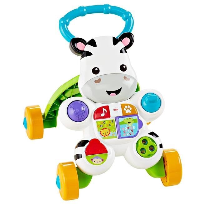 Muzikinė vaikštynė-stumdukas Fisher Price, DPL53 (Lenkų kalba) цена и информация | Žaislai kūdikiams | pigu.lt