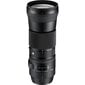 Sigma 150-600mm F5-6.3 DG OS HSM, Contemporary, Nikon F mount цена и информация | Objektyvai | pigu.lt