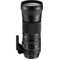 Sigma 150-600mm F5-6.3 DG OS HSM, Contemporary, Nikon F mount kaina ir informacija | Objektyvai | pigu.lt